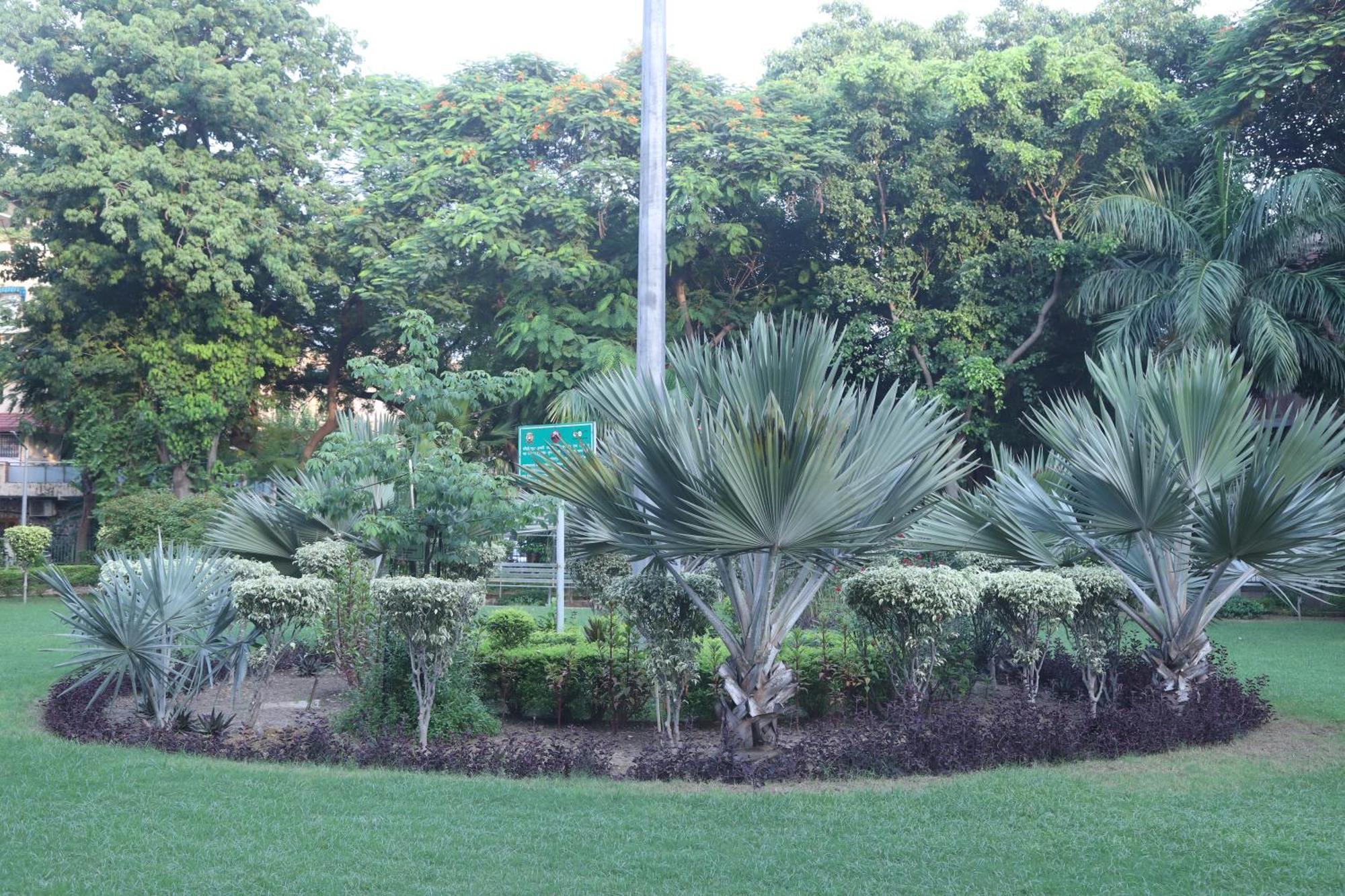 Divine India Service Apartment 3Bhk,B57 Sarita Vihar,Apollo Yeni Delhi Dış mekan fotoğraf